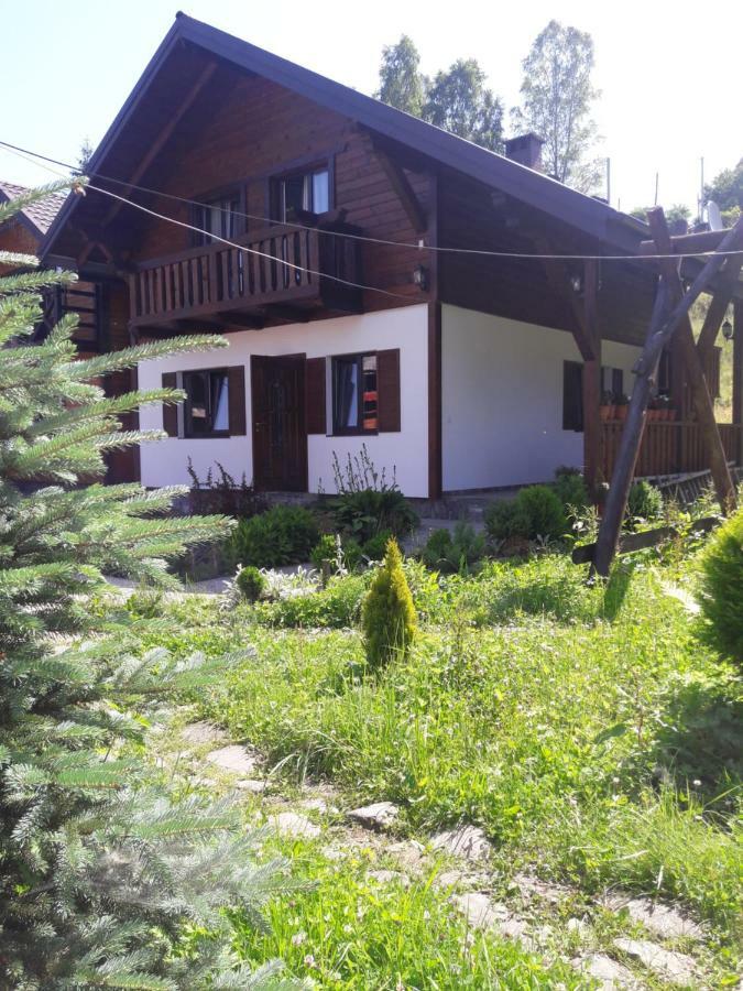 Cottage house Worochta Exterior foto